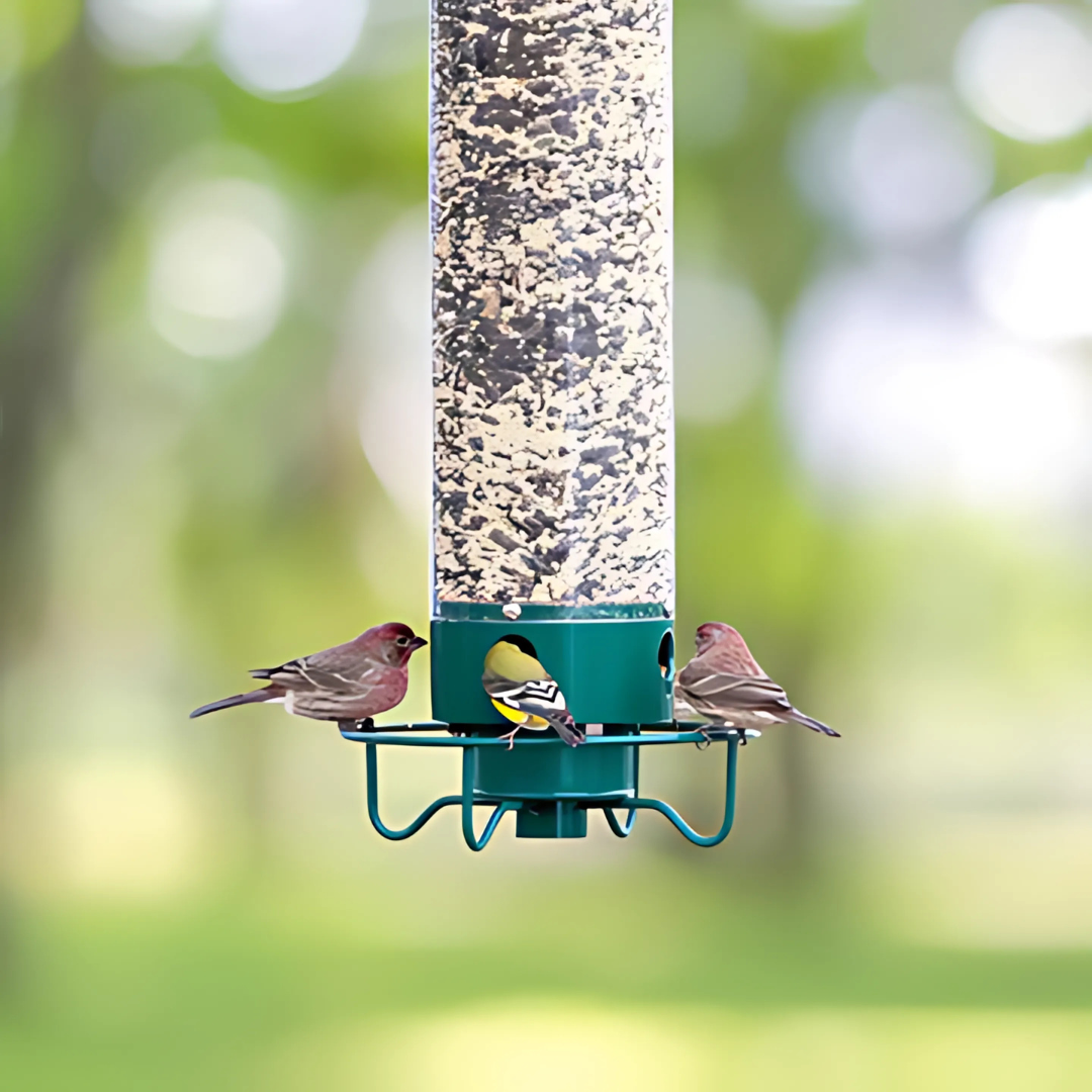 Squirrel Proof Bird Feeder with Large Seed Capacity – Durable Hanging Outdoor Feeder for Birds 0