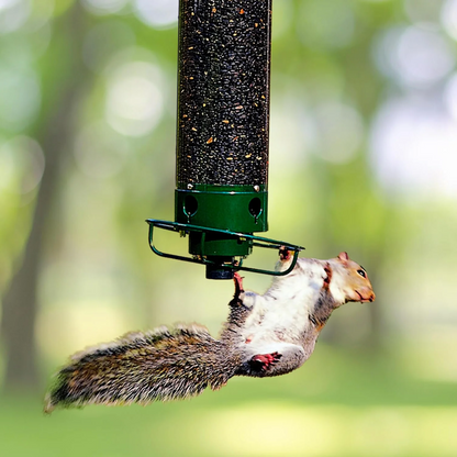 Squirrel Proof Bird Feeder with Large Seed Capacity – Durable Hanging Outdoor Feeder for Birds 1
