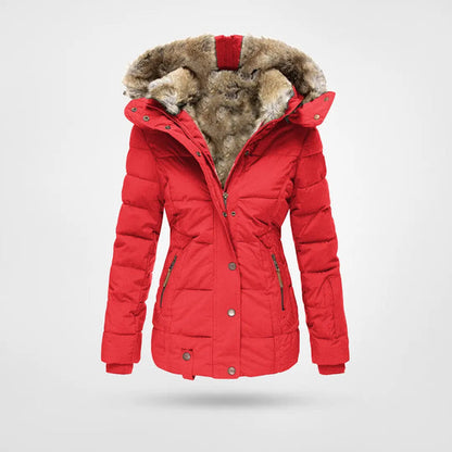 Women’s Thick Winter Jacket | Cozy